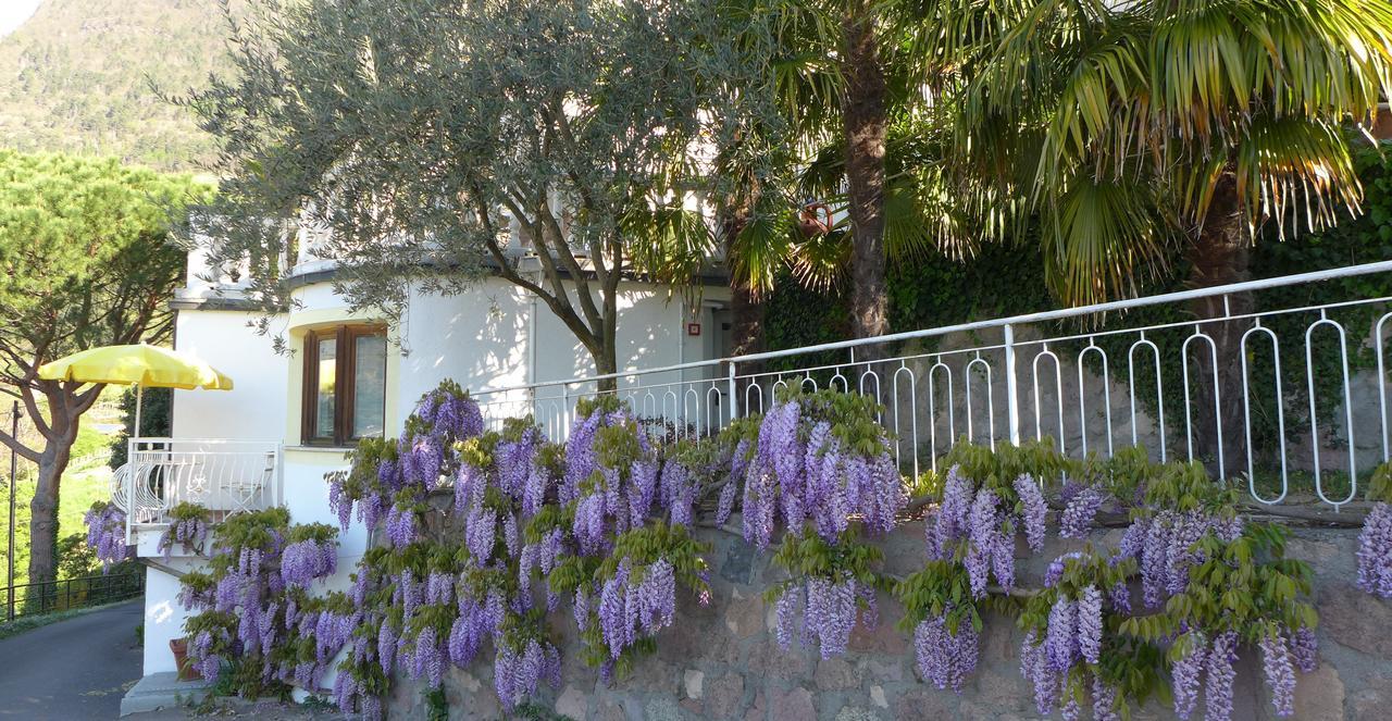 Appartement Trafoier Тироло Екстериор снимка